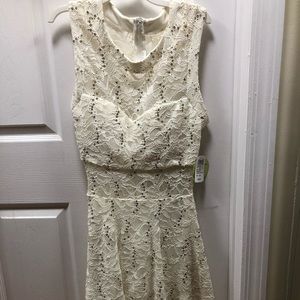 Windsor cream and gold lace sequins dress